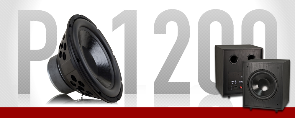 <span class="ezr_font">P-1200 Subwoofer</span>